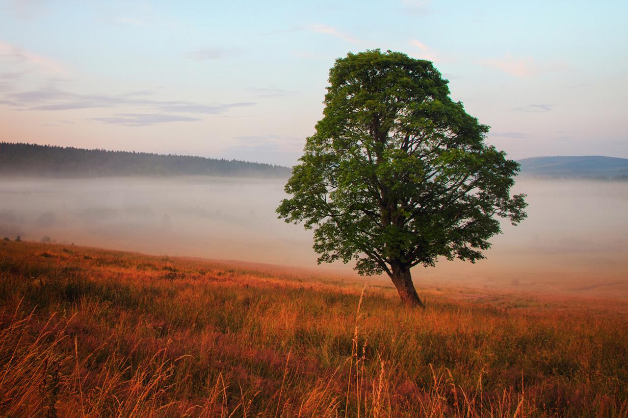 ホテル Statek Ceska Lipa Myslovice クラトビ エクステリア 写真