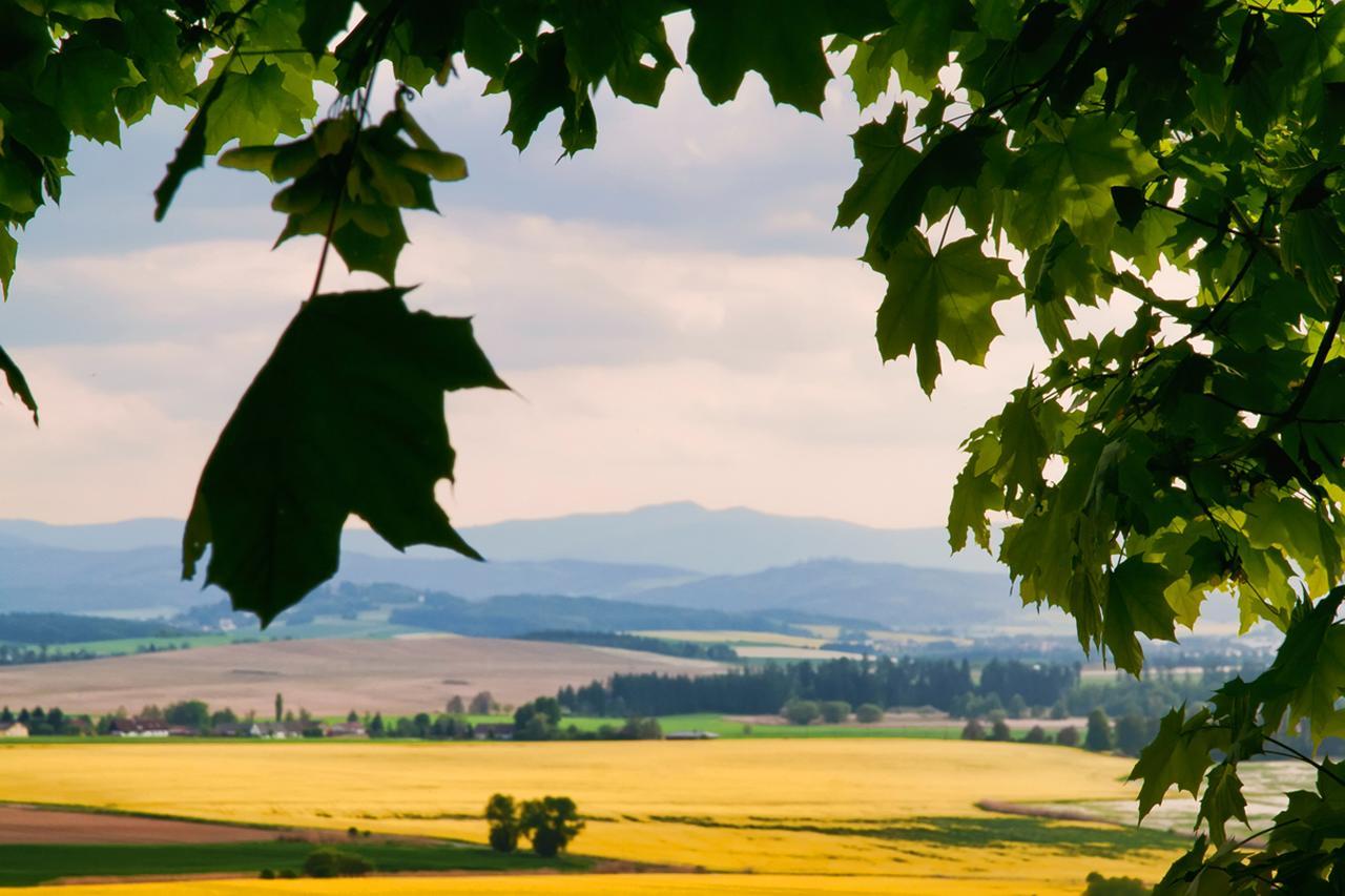 ホテル Statek Ceska Lipa Myslovice クラトビ エクステリア 写真